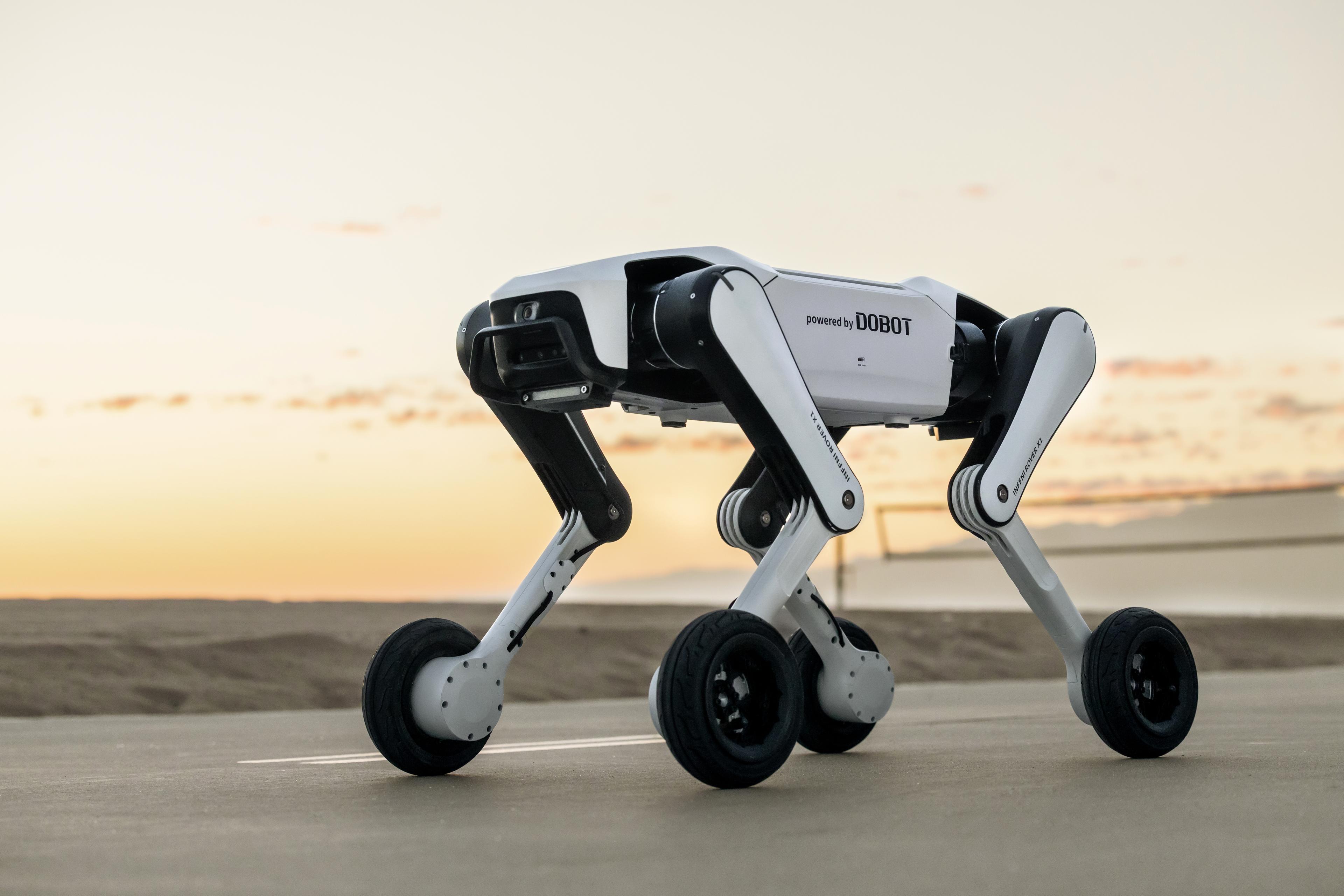 https://a.storyblok.com/f/298593/6632x4421/54dc7619e0/rover-x1-2.jpg
